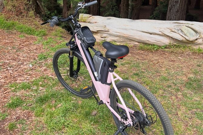 Full Day E-Bike Rental in San Francisco Charger Included! - Exploring San Francisco Without Hills