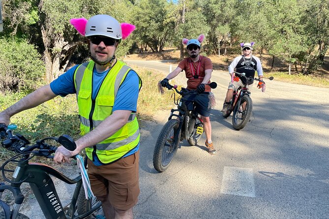 Full Day E-biking in the Sierra Foothills (Mariposa) - Lunch, Snacks, and Refreshments