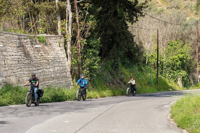 Full Day - Ecobike - Discover old villages & Wine tasting - Practical Information and Booking Details