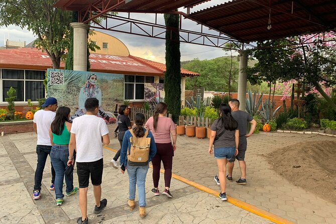 Full-Day El Tule, Mitla & Hierve el Agua Tour from Oaxaca - Learning About Mezcal at El Rey de Matatlán