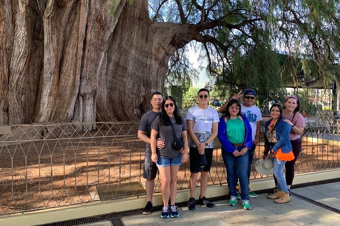 Full-Day El Tule, Mitla & Hierve el Agua Tour from Oaxaca - Practical Details: What’s Included and What’s Not