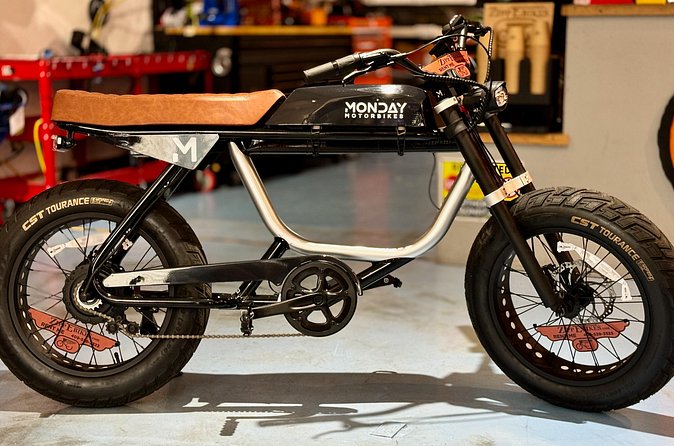 Full Day Electric Bike Rental in Galveston Texas - Who Will Love This Experience