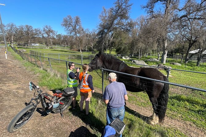 Full Day Electronic Bike and Rock Climbing Tour - Who Will Enjoy This Yosemite Day Out