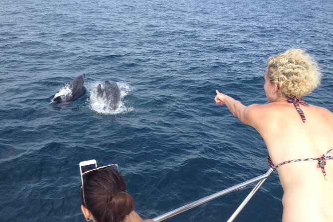 Full-Day Exclusive Boat Cruise with Drinks and Nibbles - Practicalities: Food, Drinks, and Onboard Comfort