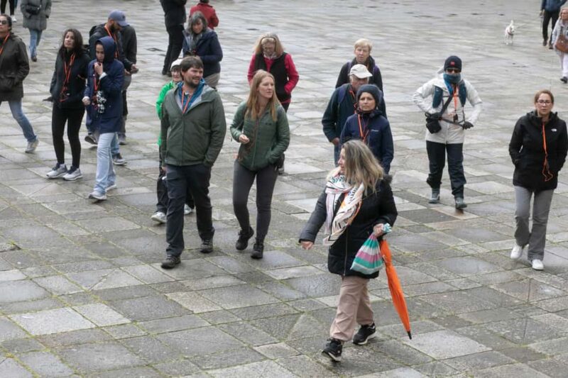 Full-Day Excursion from A Coruña to Santiago - Cruisers Only - Transport, Group Size, and Accessibility