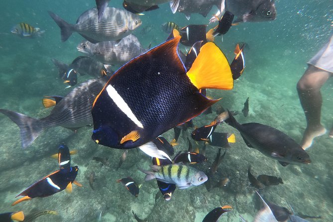 Full-Day Experience in Banderas Bay - Starting Point and Tour Duration in Mismaloya