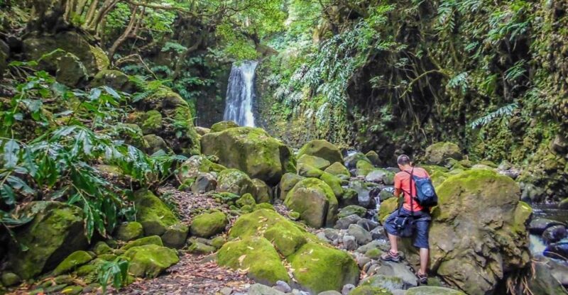 Full-Day Faial da Terra + Nordeste from Ponta Delgada - Scenic Viewpoints in Nordeste with Famous Coastal Cliffs