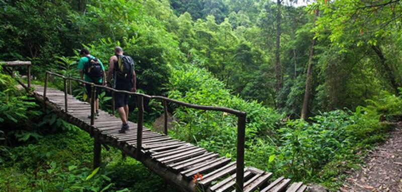 Full-Day Faial da Terra + Nordeste from Ponta Delgada - Ribeira dos Caldeirões Park and Its Towering Waterfalls