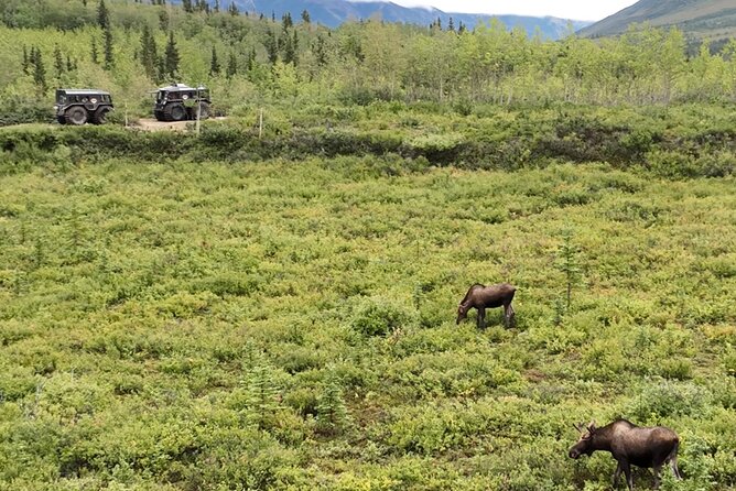 Full Day: Fairbanks to Denali Winter Adventure & SHERP Tour - Starting Point and Tour Logistics from Fairbanks
