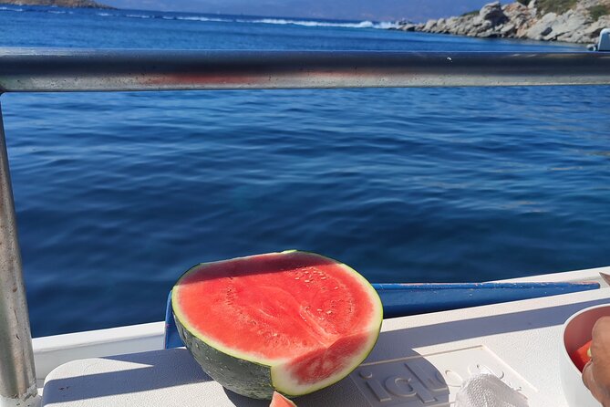 Full-Day Fishing and Boating Experience in Hydra - Fresh Fish Meal Prepared by Captain Yiannis