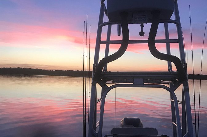 Full day Fishing Charter in Tarpon Springs - Who Should Consider This Fishing Charter?