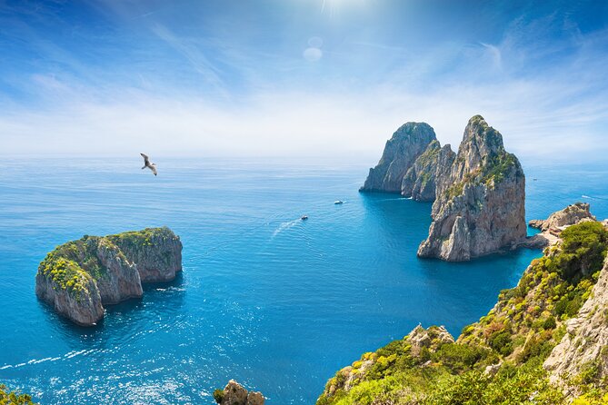 Full Day Fishing Experience in Capri from Sorrento - Guided Fishing in Capri’s Prime Spots