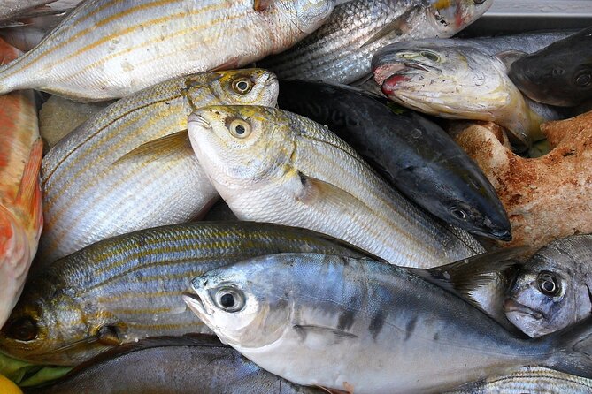 Full Day Fishing Experience in Capri from Sorrento - Repeating the Fishing and Sightseeing Cycle