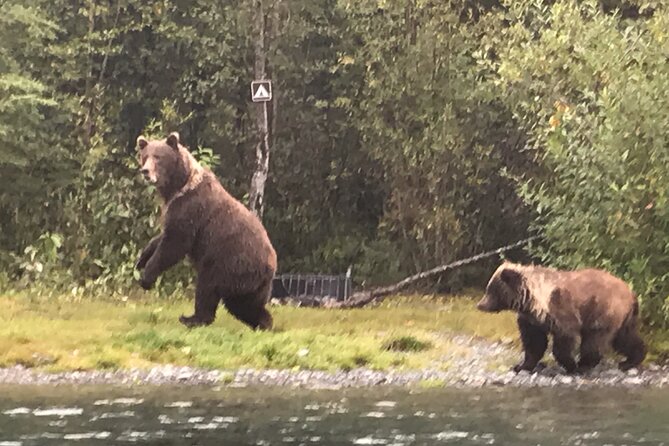 Full day fishing trips - Discover the Full-Day Fishing Trip on Alaska’s Kenai River