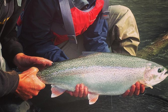 Full day fishing trips - What Makes This Kenai River Fishing Trip Unique