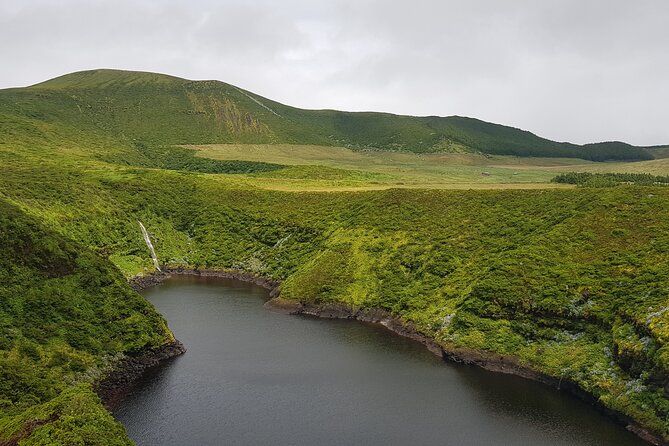 Full Day Flower Island Tour - Comfortable Transportation and Expert Guidance