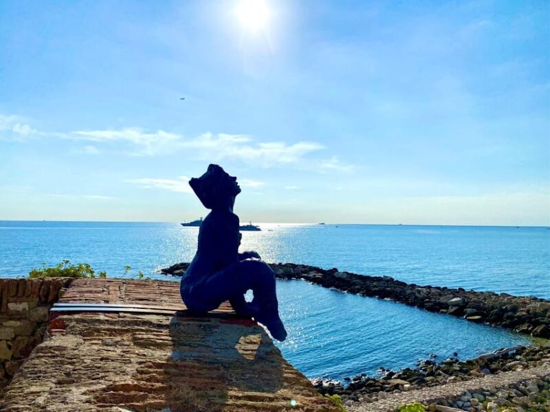 Full day French Riviera Panorama Tour - Discover the French Riviera in a single day with this full-day private panorama tour