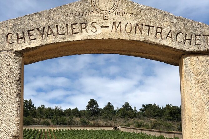 Full day from Beaune: the most of Burgundy, with lunch - Visiting a Family-Run Winery in Meursault for a Tasting