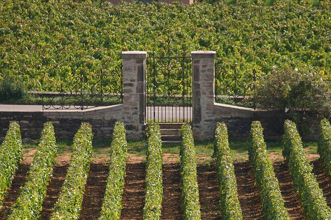 Full day from Dijon: the most of Burgundy with lunch - Lunch Break in a Charming Village