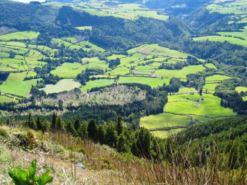 Full-Day Furnas Azores 4x4 Tour from Ponta Delgada - Witness the Fumaroles and Geothermal Activity Close Up