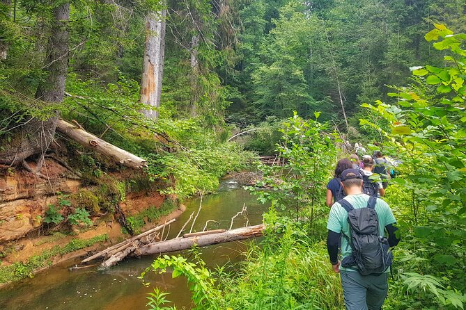 Full Day Gauja National Park Ultimate Hiking & Sightseeing Trip - Key Points