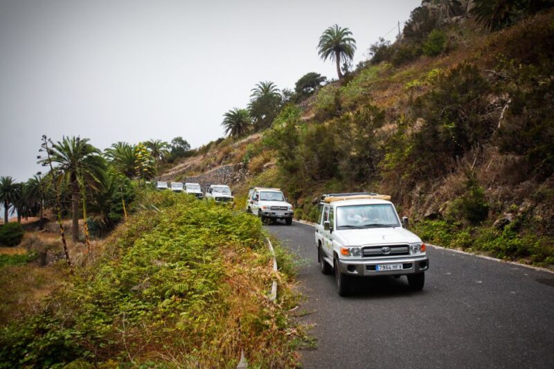 Full-Day Gomera Jeep Safari Excursion from Arona - Key Points
