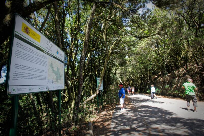 Full-Day Gomera Jeep Safari Excursion from Arona - Full-Day Gomera Jeep Safari Excursion from Arona: An In-Depth Overview