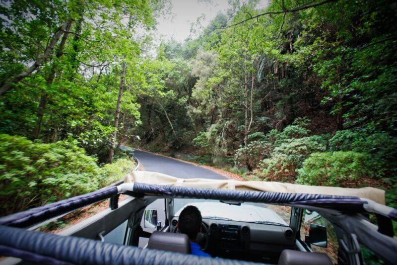 Full-Day Gomera Jeep Safari Excursion from Arona - Discovering the Villages and Local Heritage