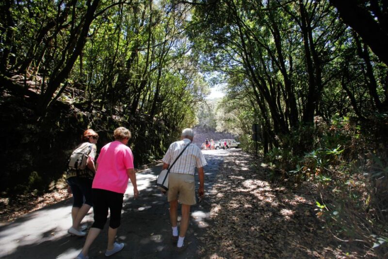 Full-Day Gomera Jeep Safari Excursion from Arona - Customer Feedback and Highlights