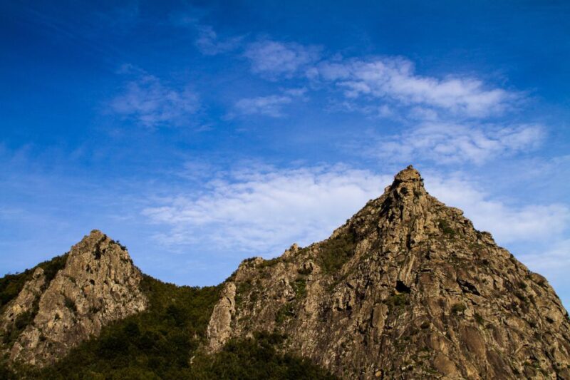 Full-Day Gomera Jeep Safari from Puerto de La Cruz - Explore Gomera on a Full-Day Jeep Safari with Ship Transfer and Local Flavors