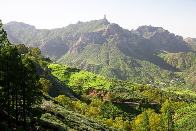 Full-Day Gran Canaria Tour with Teror, Tejeda and Lunch in Fataga - Lunch in Fataga: Local Flavors and Relaxation