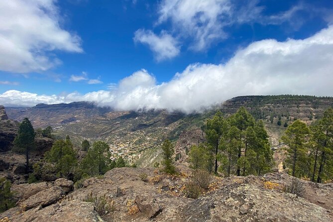 Full-Day Gran Canaria Tour with Teror, Tejeda and Lunch in Fataga - Pacing, Organization, and Practical Tips