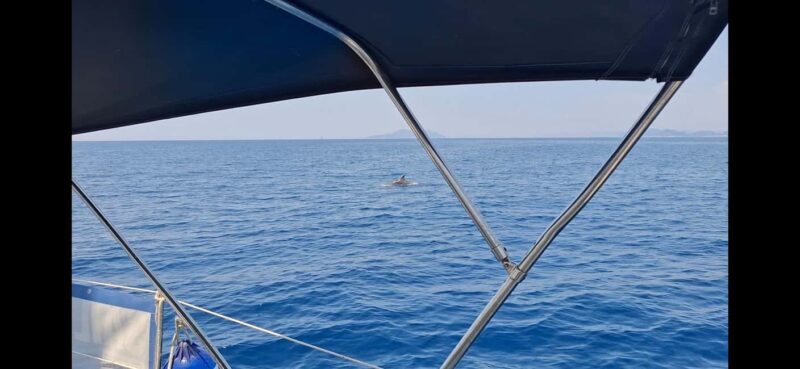 Full Day Group Tour to Elaphitiy&Blue Cave From Dubrovnik - The Skipper and Crew: Knowledgeable and Friendly