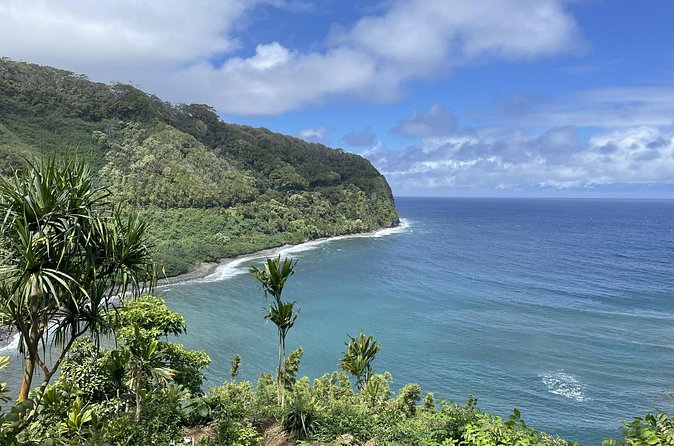 Full Day Guided Tour in Hana - The Food and Snack Options