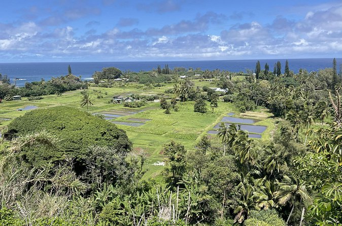 Full Day Guided Tour in Hana - What Makes This Tour Stand Out