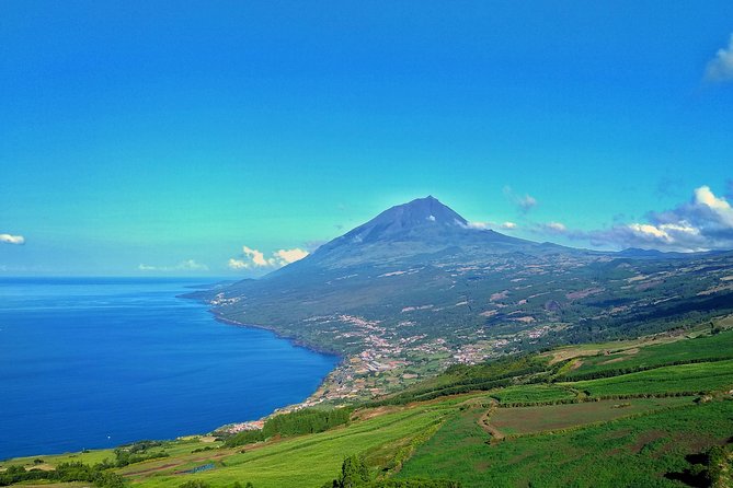 Full-Day Guided Tour in Pico Island - Exploring Pico’s Coastal and Forest Scenery