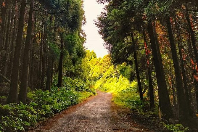 Full-Day Guided Tour in Pico Island - Review Highlights and Guide Excellence