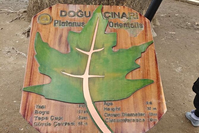 Full Day Guided Tour to Bursa and Uludag - Starting the Day with Hotel Pickup and Scenic Ferry Ride