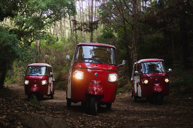 Full-Day Guided Tuk-Tuk Tour in Sintra - Coastal Adventures: Penedo de Adrenunes, Praia da Adraga, and Boca do Inferno
