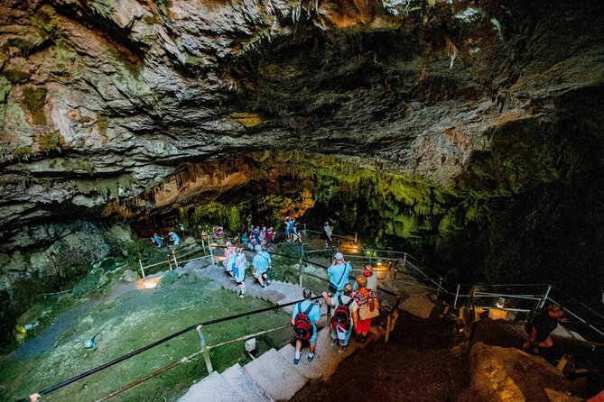 Full-Day/Half-Day Tour : Lasithi Plateau & Knossos Palace - From Scenic Spots to Cultural Insights