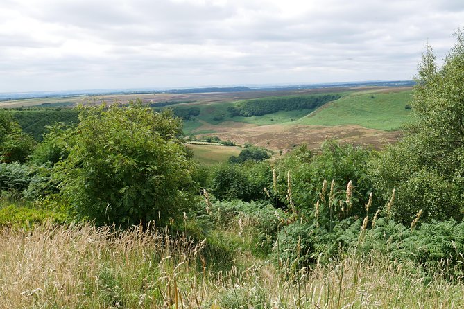 Full-Day Heartbeat Locations Tour from York - Exploring Aidensfields Heartbeat Filming Sites in Goathland