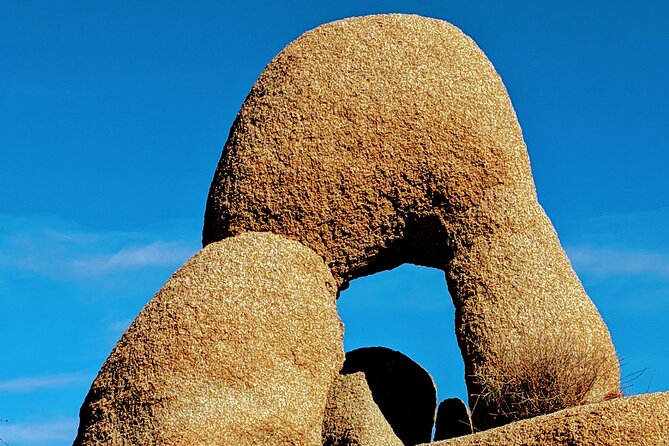 Full Day Hike in Joshua Tree National Park - Practical Details and Meeting Arrangements