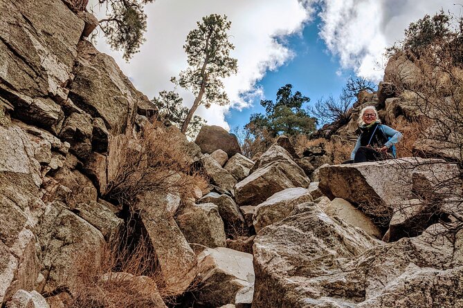 Full Day Hike in Joshua Tree National Park - Why Choose This Guided Hike?