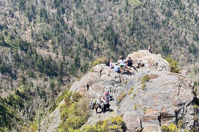Full Day Hike to Charlies Bunion on the Appalachian Trail - Learning About the Endemic Flora and Local Ecosystem