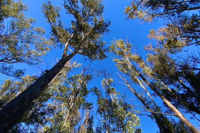 Full-day Hiking at Ruta the Aqua across Pena Cortada - Highlights of the Tour Experience