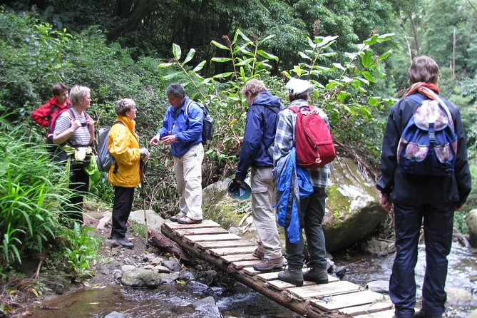 Full Day Hiking Faial da Terra (Min. 2 persons) - Lunch Options: Wild Picnic or Traditional Country Meal