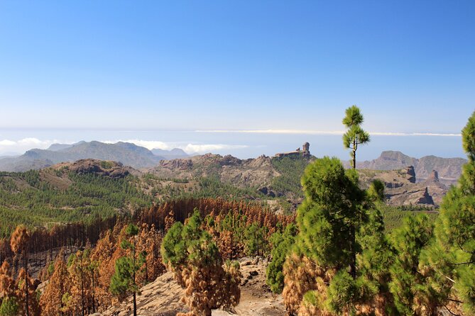 Full day Hiking Gran Canaria Peaks of Gran Canaria - Physical Requirements and Age Limits