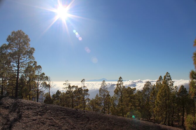 Full day Hiking Gran Canaria Peaks of Gran Canaria - What Sets This Tour Apart