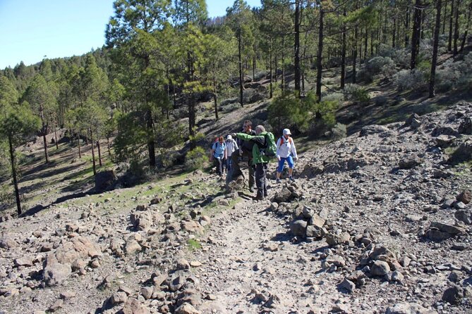 Full day Hiking Gran Canaria Peaks of Gran Canaria - The Experience in Context