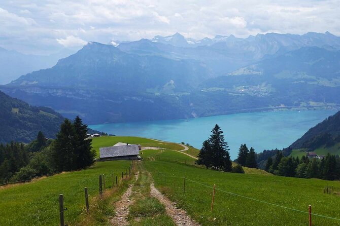 Full-Day Hiking Swiss Alps and Lake swim with Pick-up - Key Points